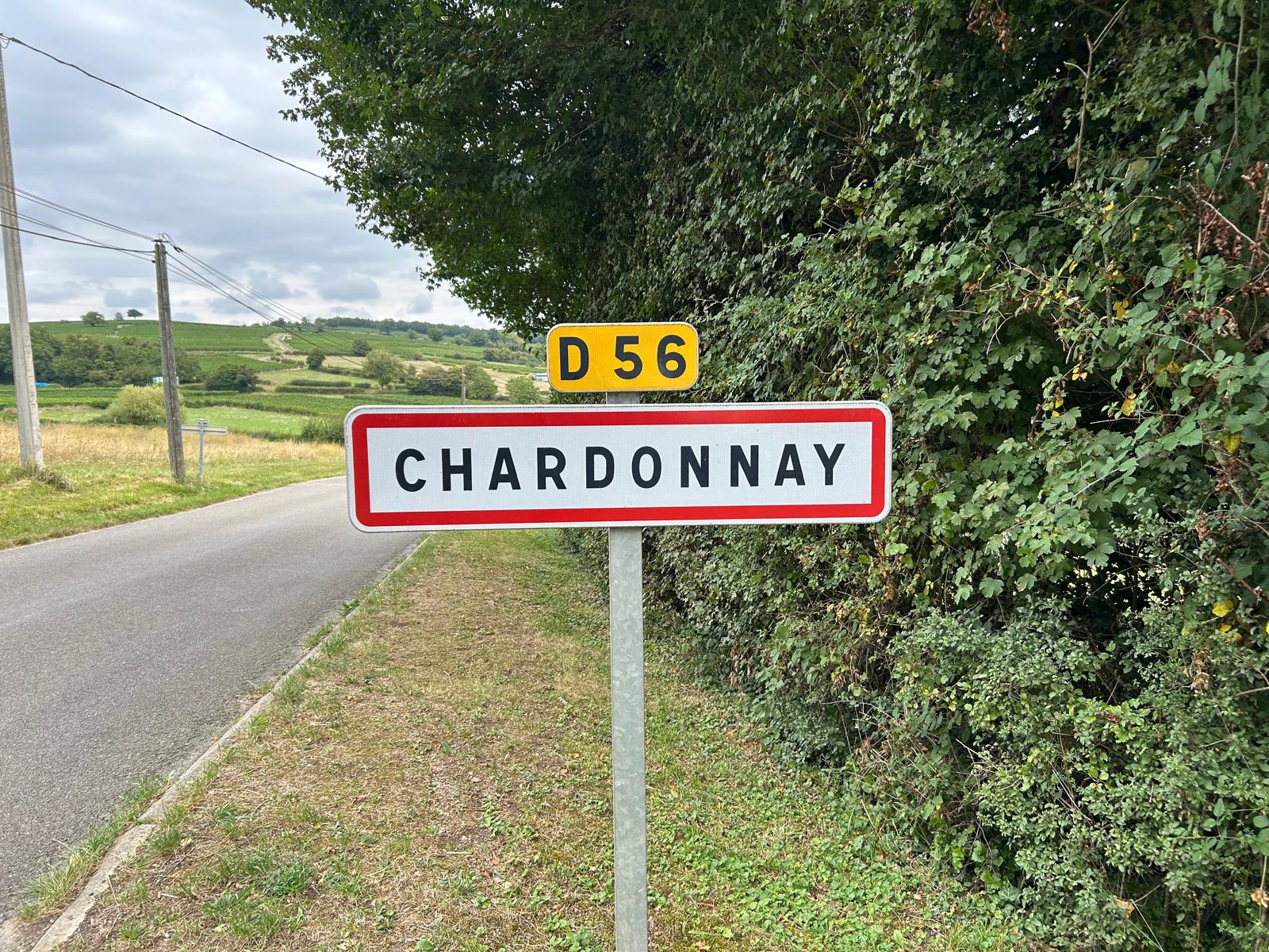Burgundy vineyard